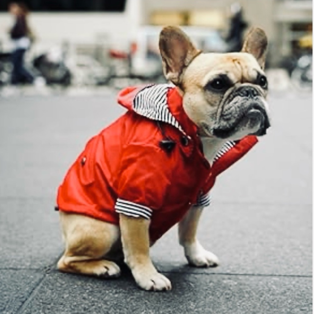 Ellie Dog Wear Rain Coat